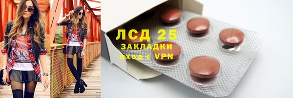 ГАЛЛЮЦИНОГЕННЫЕ ГРИБЫ Липки