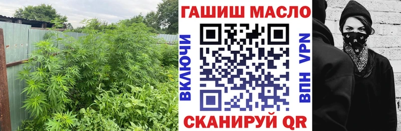 Дистиллят ТГК вейп Туран